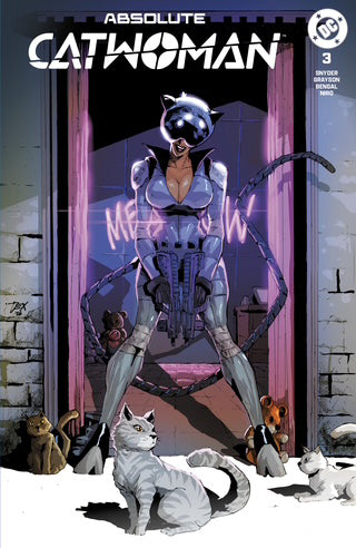 Catwoman comic book cover featuring Catwoman in a metallic silver bodysuit and cowl standing in a doorway with her tail raised, surrounded by cats on the ground. The title 'ABSOLUTE CATWOMAN' appears at the top, with a DC logo in the upper right.