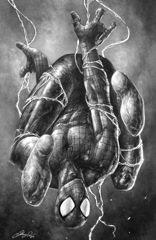 The Amazing Spider-Man #30 Johnny Desjardins HeroesCon Exclusive Virgin Variant Cover featuring Spider-Man in a dynamic action pose.