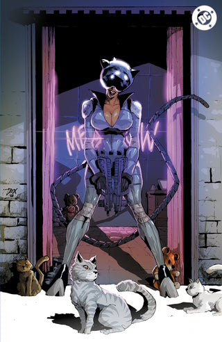 Comic book cover art featuring Catwoman in a metallic silver bodysuit and cowl standing in a doorway with chains, surrounded by cats on a snowy ground. A DC logo is visible in the top right corner.
