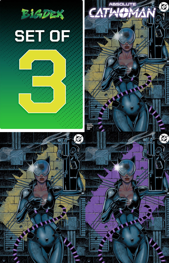 Absolute Catwoman #1 Jim Balent Exclusive Set of 3 featuring exclusive cover artwork by JIM BALENT including trade dress and virgin variants available for pre-order.